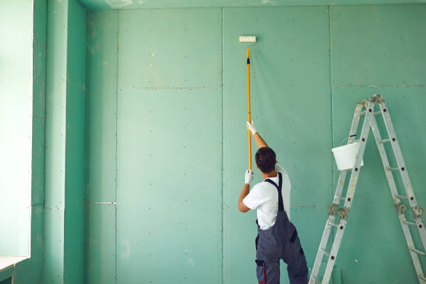 Best Attic Mold Removal  in Oakwood, OH