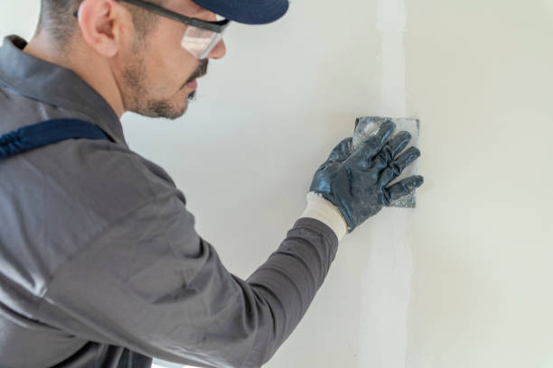 Best Emergency Mold Remediation  in Oakwood, OH