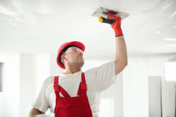 Best Mold Damage Restoration  in Oakwood, OH