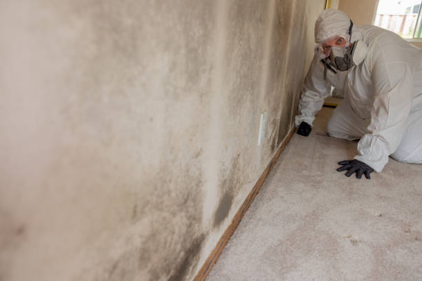 Best Crawl Space Mold Remediation  in Oakwood, OH
