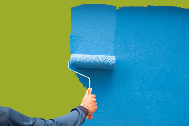 Professional Mold Removal in Oakwood, OH